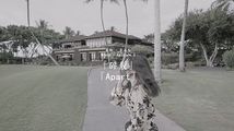 苗条