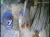 门事件