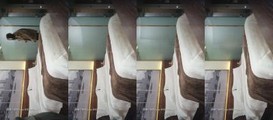 探花系列