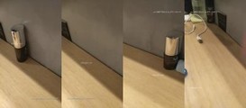 探花系列