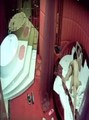 探花系列