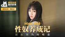 麻豆传媒