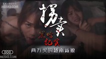 国产传媒