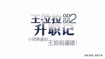 国产传媒