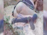 网红主播