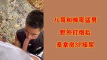 探花系列
