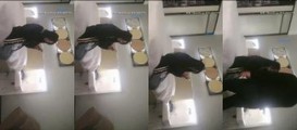 国产自拍