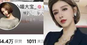小喵大宝