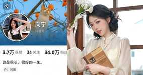 宁向