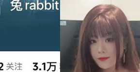 红兔rabbit
