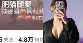 肥猫腿腿