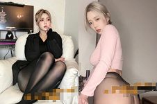 多肉小野猫
