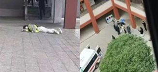 江西金巢实验学校