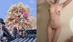 王思聪前女友