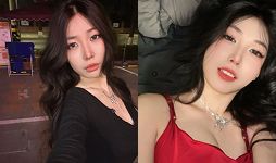 兔兔睡不醒