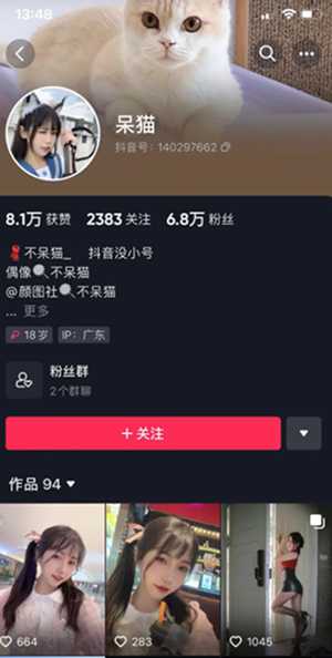 呆猫
