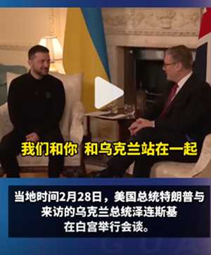 泽连斯基