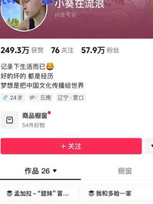 小葵在流浪