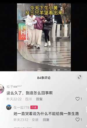 三只羊诈骗