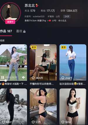 苏北北