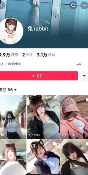 红兔rabbit