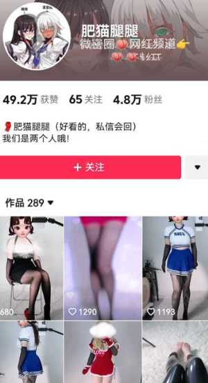 肥猫腿腿
