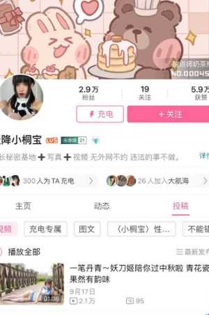 天降小桐宝