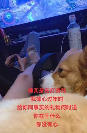 德云社塌房