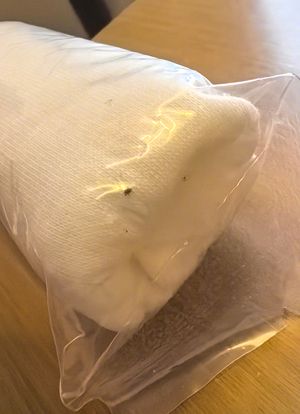 屈臣氏