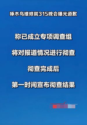 木鸟维修