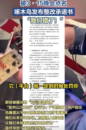 木鸟维修