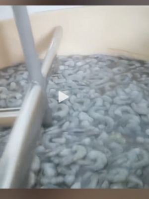 保水虾仁