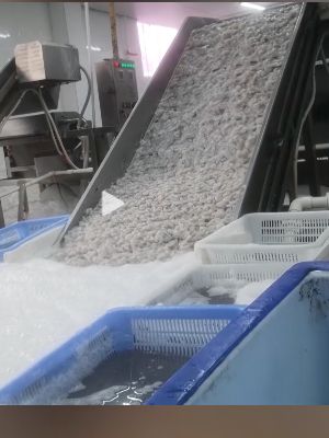 315爆料