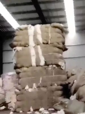 生理期致癌