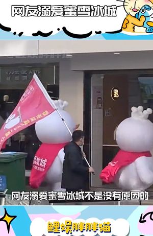 柠檬不睡觉