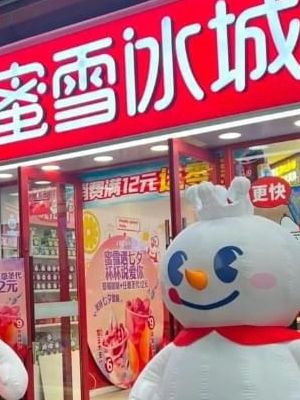 主打一个听劝