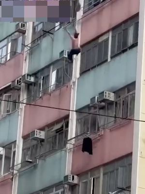 原配怒踹