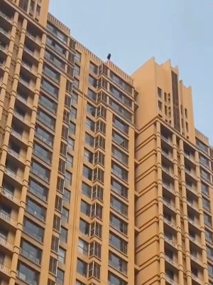 广东中山男子