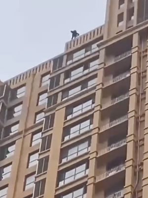 老婆出轨