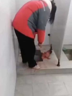 校园八卦