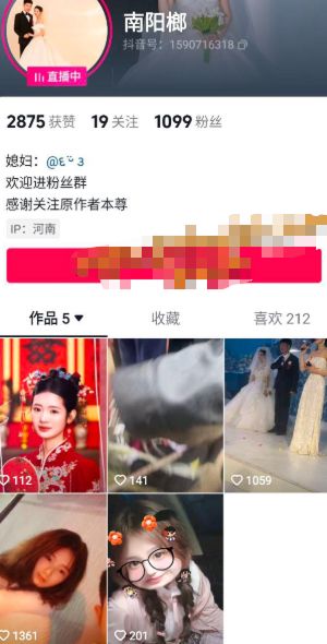 南阳槟榔哥