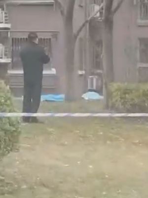 跳楼自尽