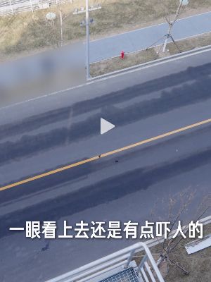 硬核技术