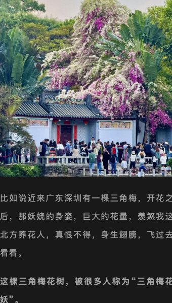 野外露出