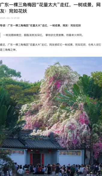 私密照曝光