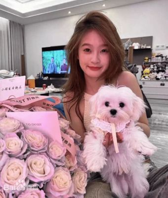 王思聪前女友