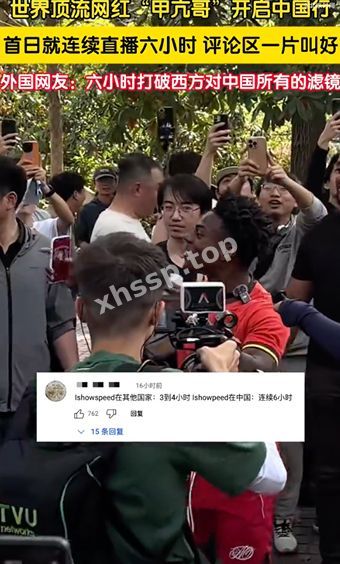 阳光彩虹小白马