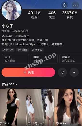 快手网红