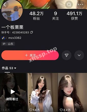 一个板栗栗