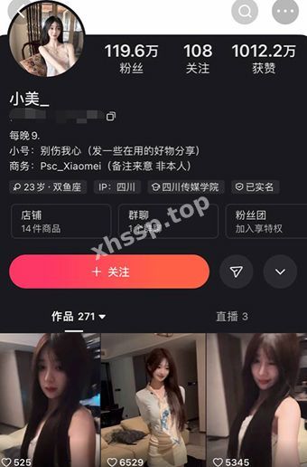 快手网红